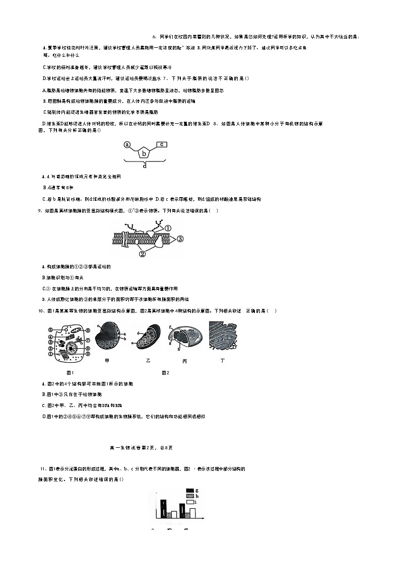 吉林省松原市前郭五中2024-2025学年高一上学期12月教学质量检测生物试卷-A4第2页