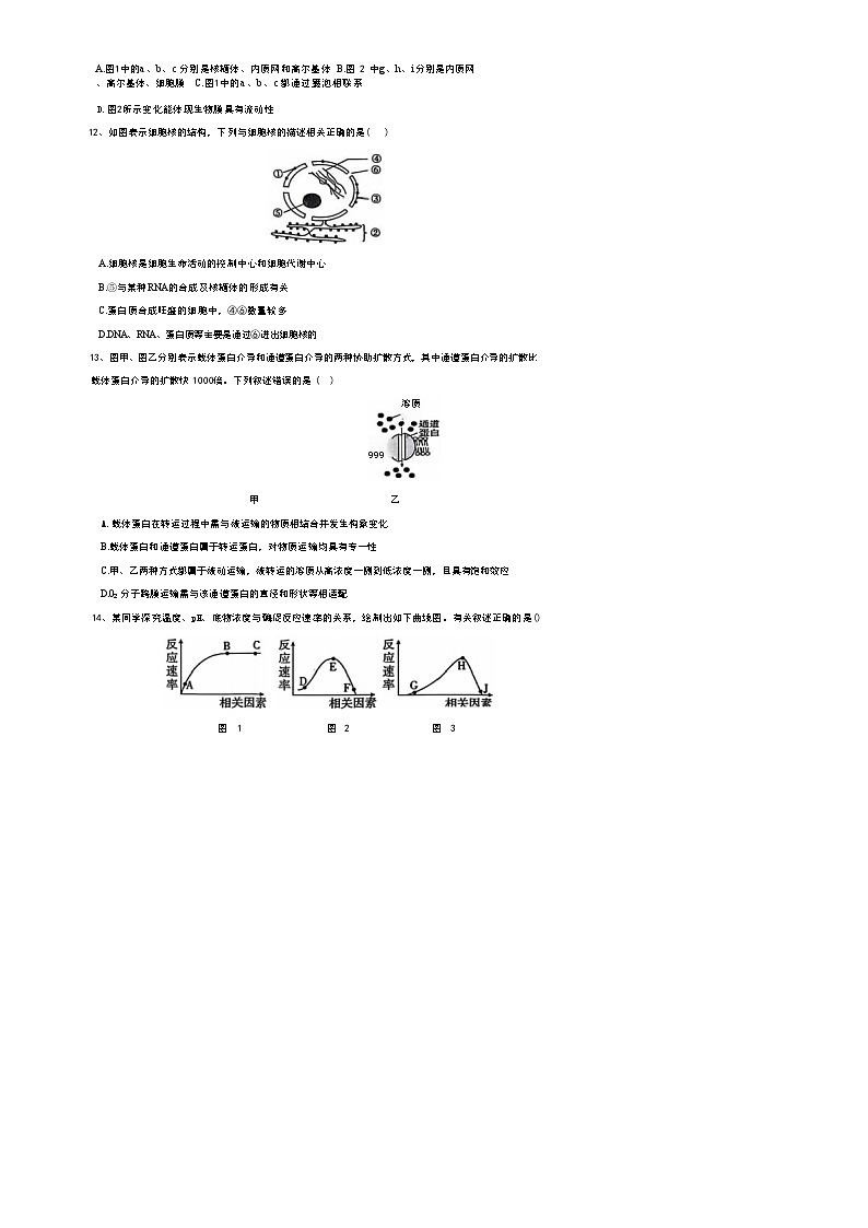 吉林省松原市前郭五中2024-2025学年高一上学期12月教学质量检测生物试卷-A4第3页