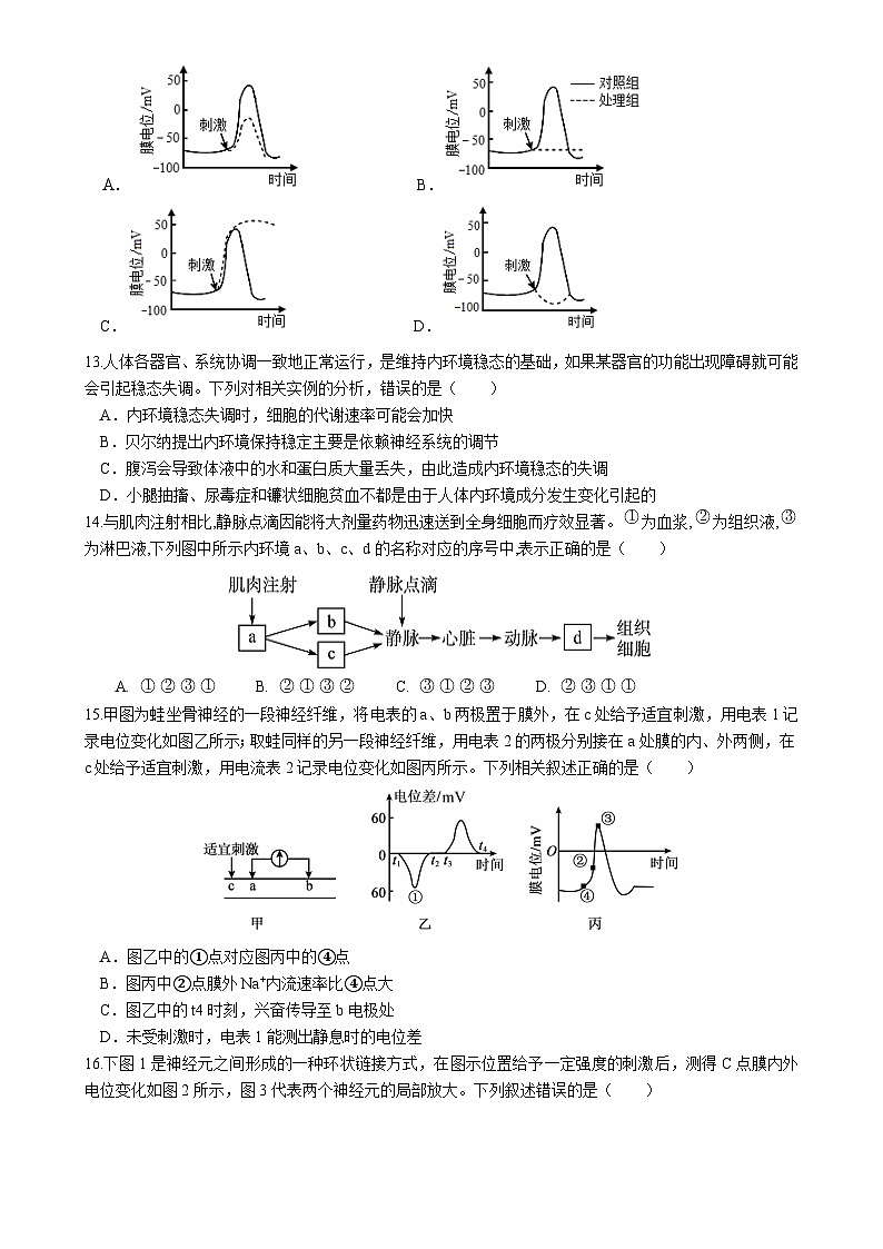 福建省福州市长乐第一中学2024-2025学年高二上学期第一次月考生物试题-A4第3页