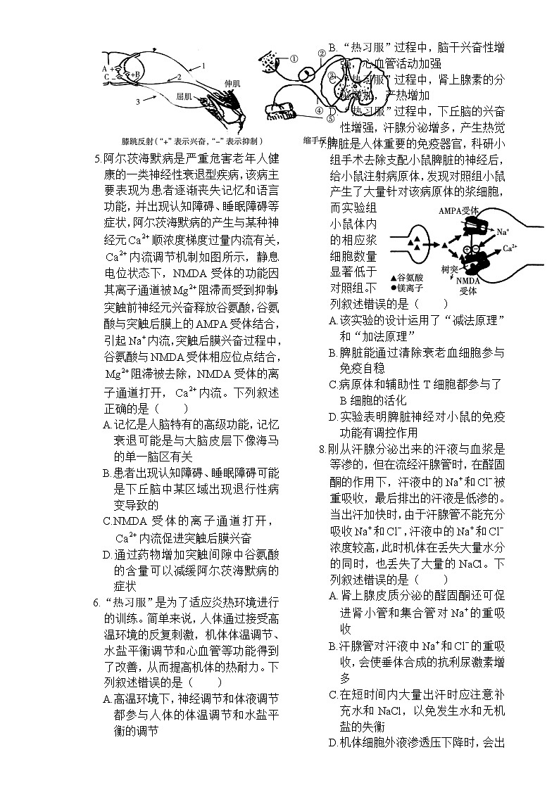 湖南省市县联考（示范性高中）2024-2025学年高二上学期12月月考生物试题-A4第2页