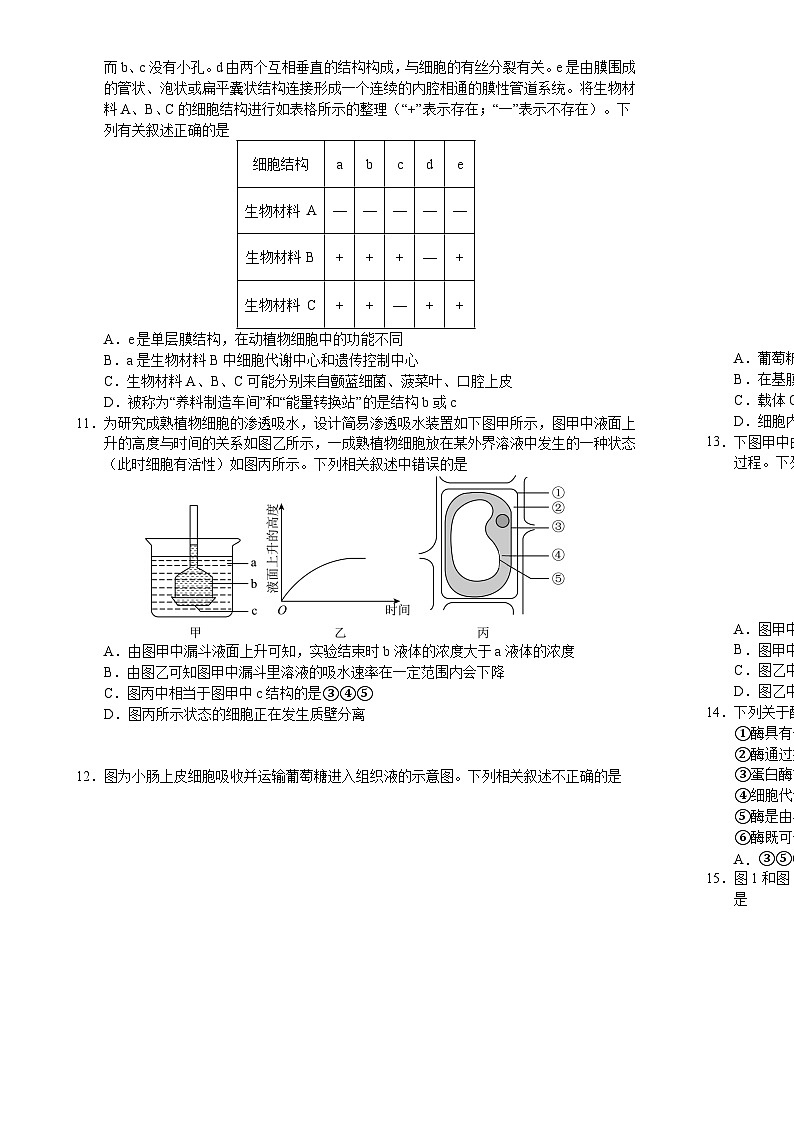 吉林省长春市朝阳区长春外国语学校2024-2025学年高一上学期12月月考生物试题-A4第2页