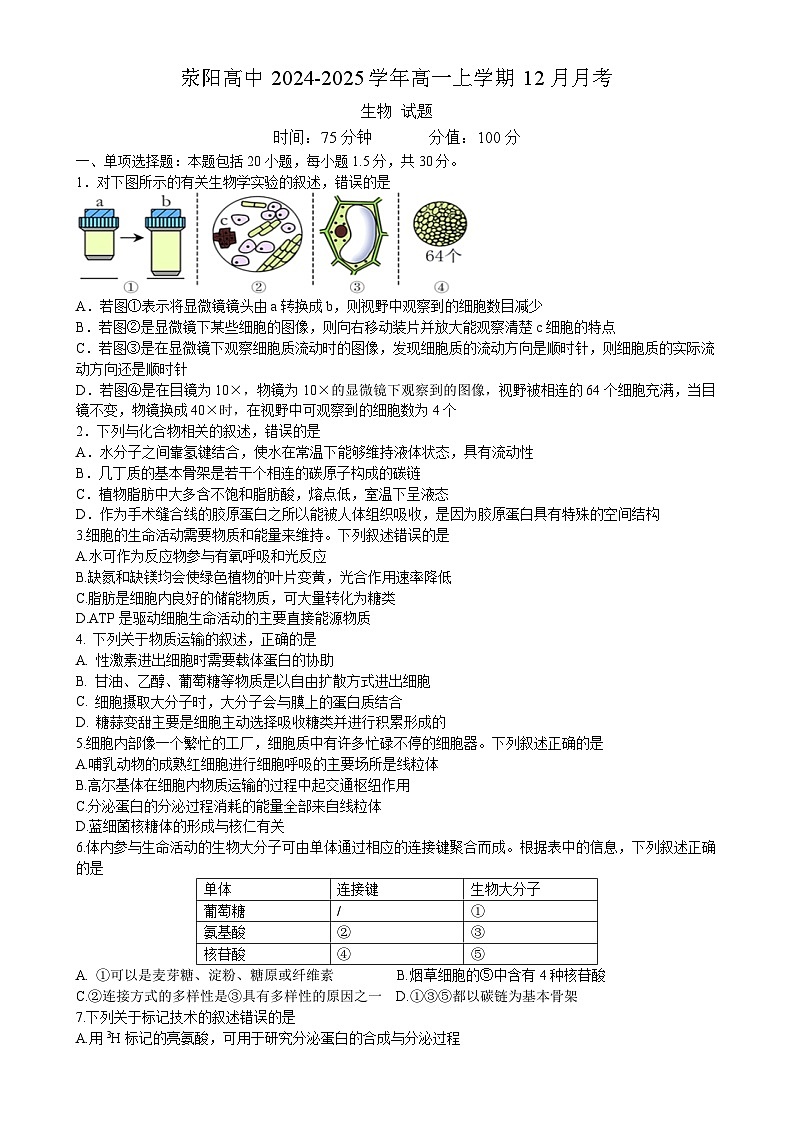 河南省郑州市荥阳市高级中学2024-2025学年高一上学期12月月考生物试题-A4第1页