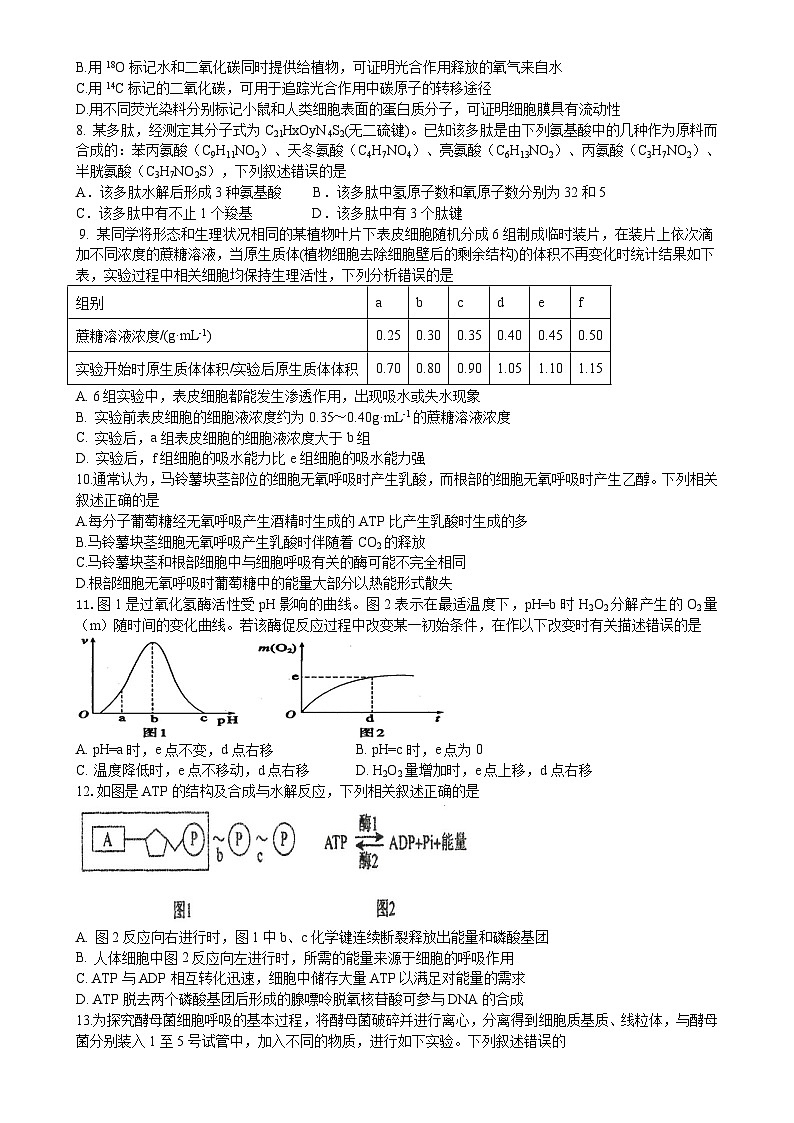 河南省郑州市荥阳市高级中学2024-2025学年高一上学期12月月考生物试题-A4第2页