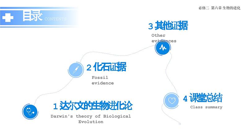 6.1 生物有共同祖先的证据-课件第3页