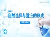 6.2 自然選擇與適應(yīng)的形成-課件
