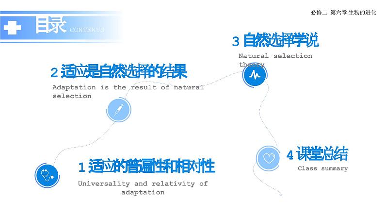 6.2 自然选择与适应的形成-课件第3页