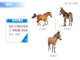 6.3.2 隔离在物种形成中的作用-课件