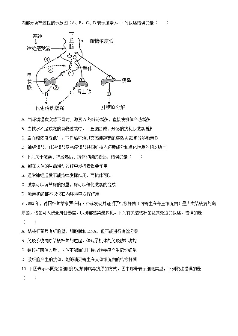 河南省濮阳市2024-2025学年高二上学期11月期中考试生物试题  Word版无答案第3页