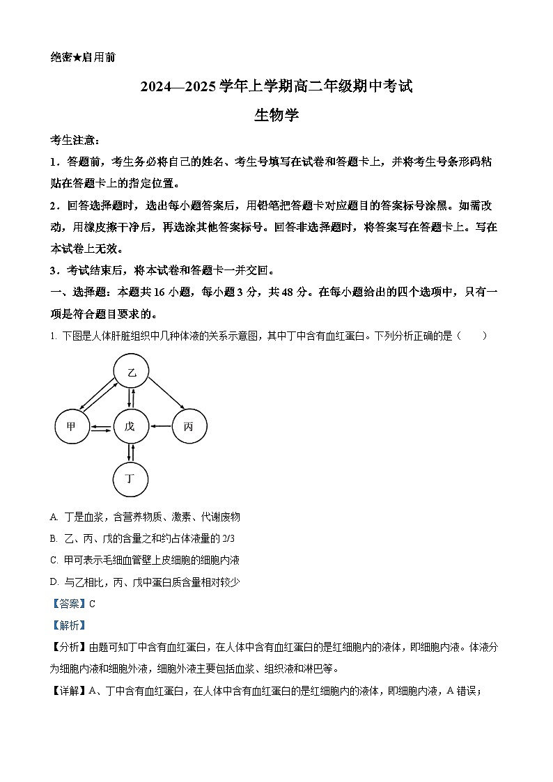 河南省濮阳市2024-2025学年高二上学期11月期中考试生物试题  Word版含解析第1页