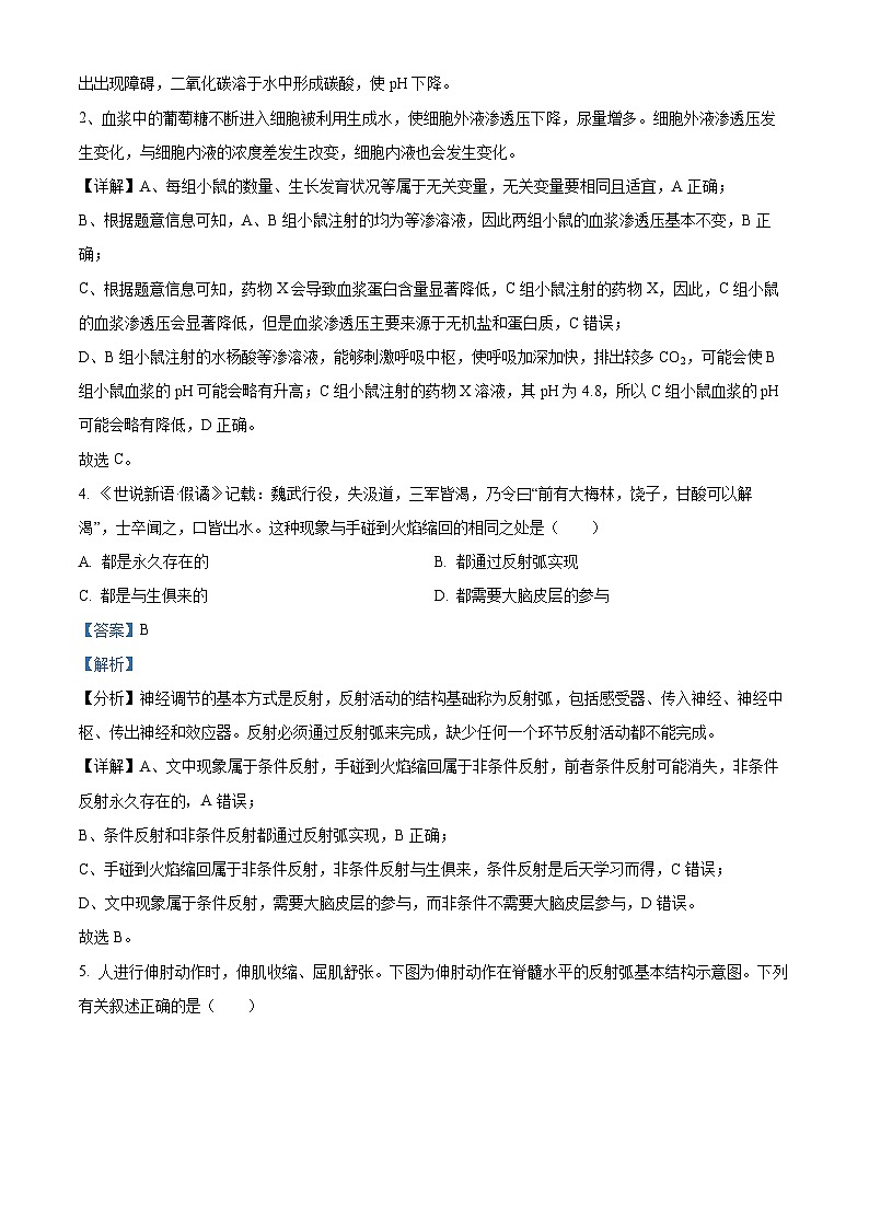 河南省濮阳市2024-2025学年高二上学期11月期中考试生物试题  Word版含解析第3页