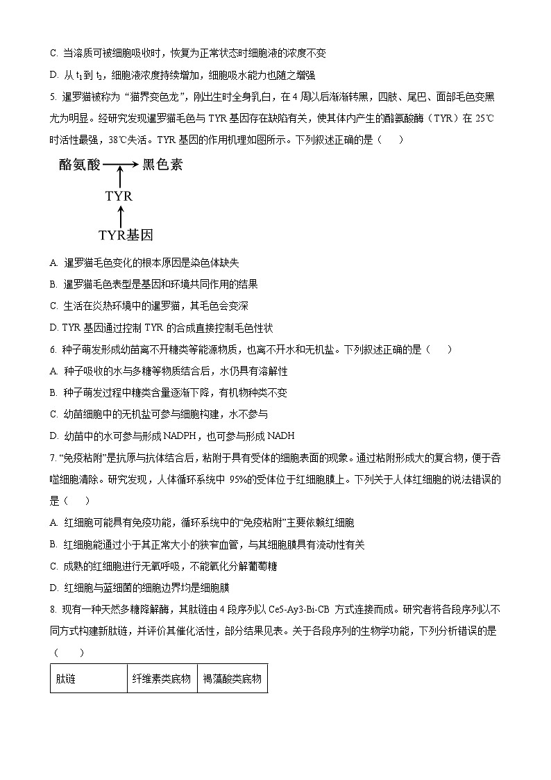 湖南省岳阳市云溪区2024-2025学年高三上学期11月期中生物试题  Word版无答案第2页