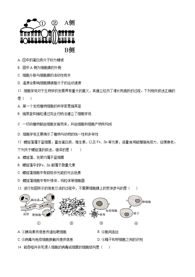 青海省海南州2024-2025学年高一上学期期中质量检测生物试题  Word版无答案第3页