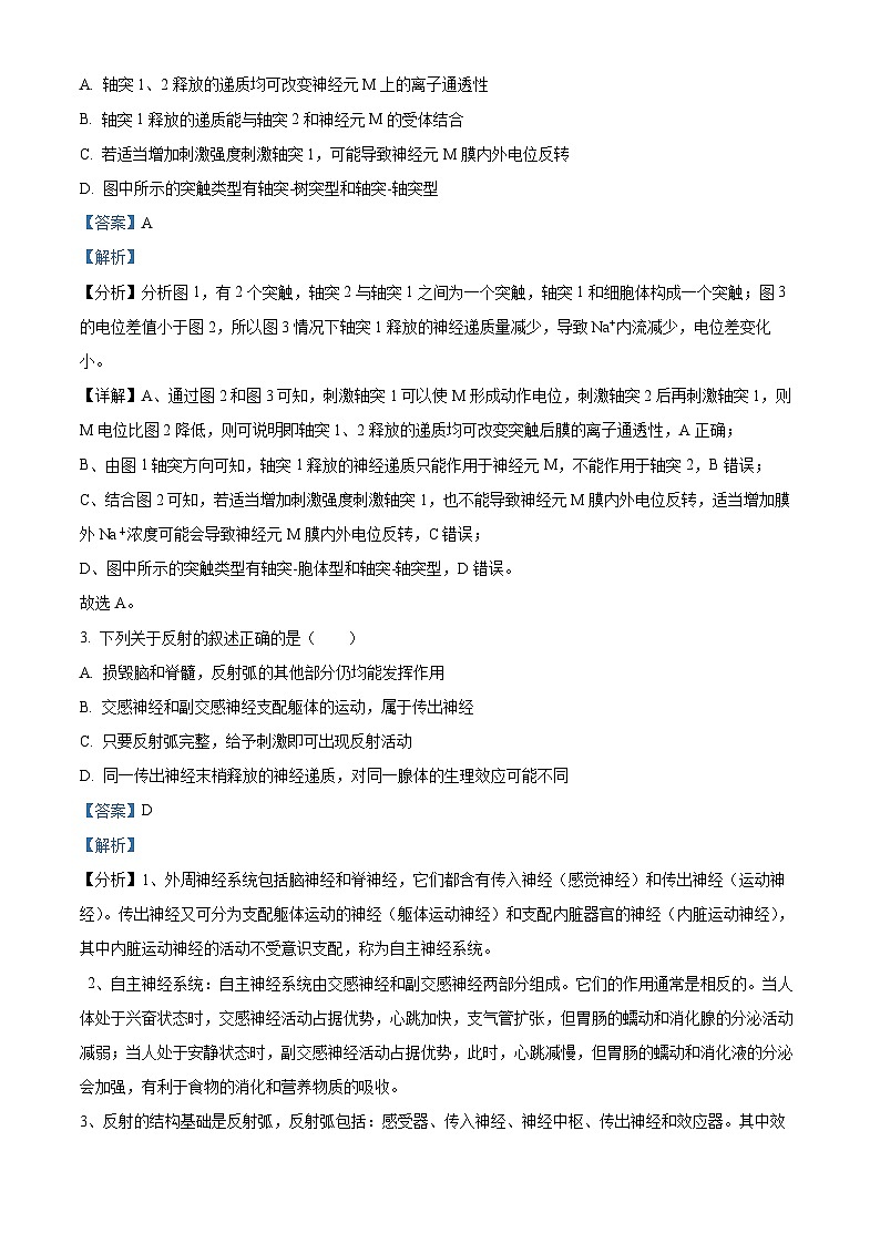 江苏省扬州市高邮市2024-2025学年高二上学期11月期中生物试题  Word版含解析第2页