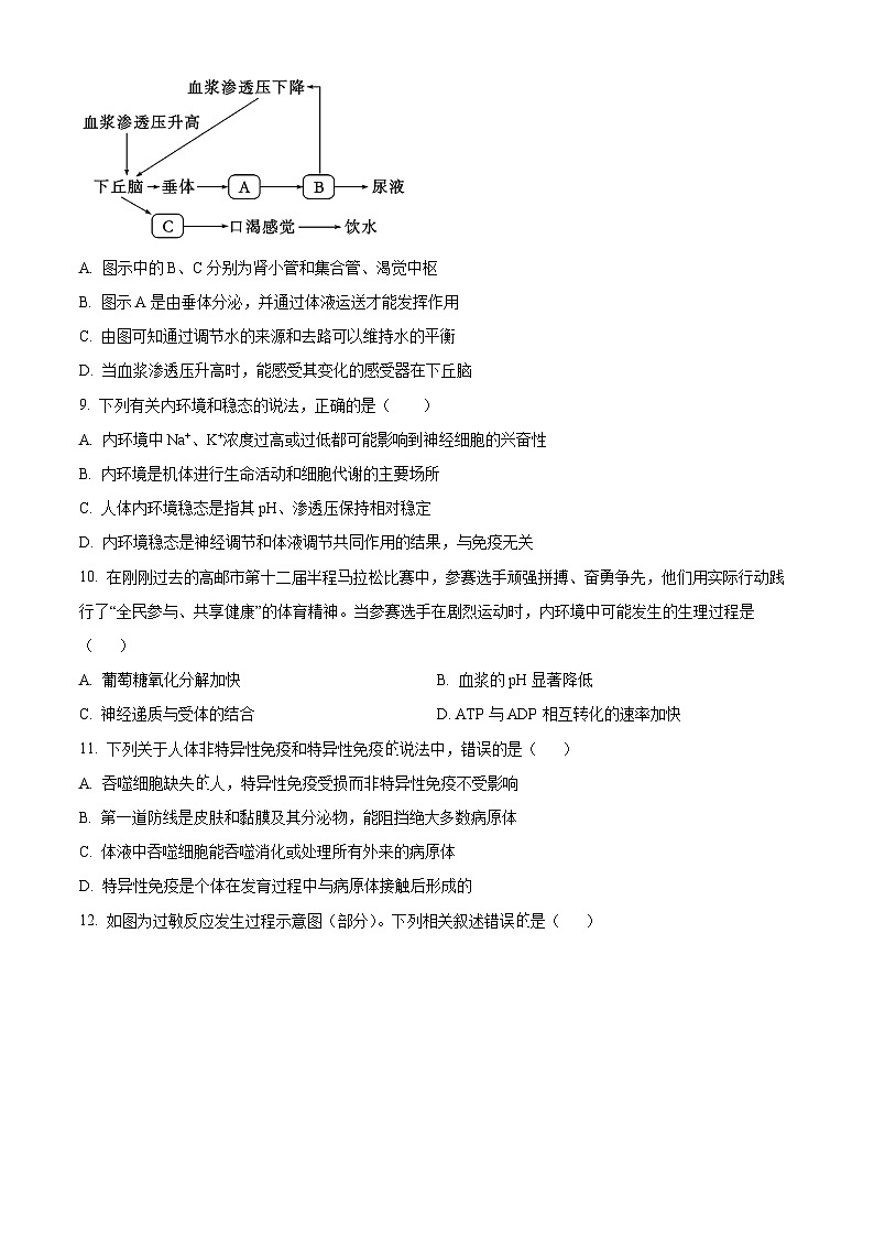 江苏省扬州市高邮市2024-2025学年高二上学期11月期中生物试题  Word版无答案第3页