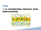 人教版 (2020) 必修1《分子与细胞》4.2主动运输与胞吞、胞吐ppt课件