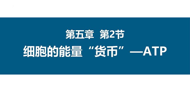 人教版 (2020) 必修1《分子与细胞》5.2细胞的能量“货币”ATP课件ppt第1页