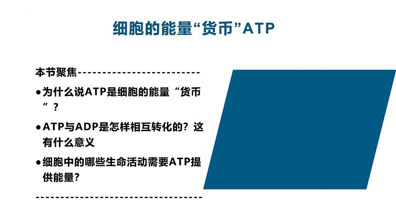 人教版 (2020) 必修1《分子与细胞》5.2细胞的能量“货币”ATP课件ppt第2页