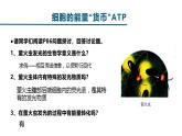 人教版 (2020) 必修1《分子与细胞》5.2细胞的能量“货币”ATP课件ppt