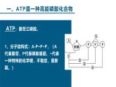 人教版 (2020) 必修1《分子与细胞》5.2细胞的能量“货币”ATP课件ppt