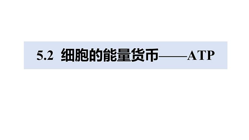 人教版 (2020) 必修1《分子与细胞》5.2细胞的能量“货币”ATP课件第1页