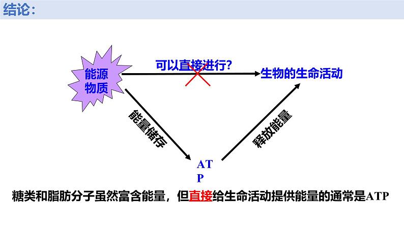 人教版 (2020) 必修1《分子与细胞》5.2细胞的能量“货币”ATP课件第5页