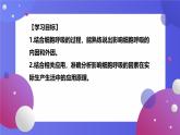 人教版 (2020) 必修1《分子与细胞》5.3细胞呼吸的原理和应用第3课时课件