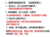 人教版 (2020) 必修1《分子与细胞》5.3细胞呼吸的原理和应用第3课时课件