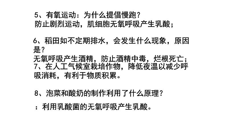 人教版 (2020) 必修1《分子与细胞》5.3细胞呼吸的原理和应用第3课时课件第4页