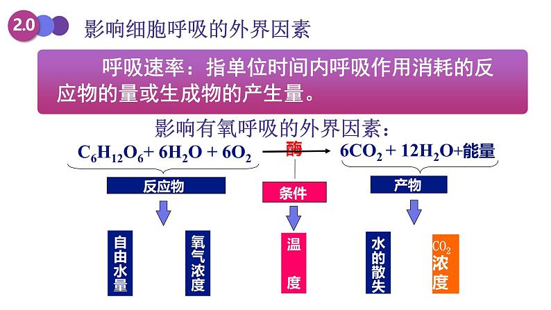 人教版 (2020) 必修1《分子与细胞》5.3细胞呼吸的原理和应用第3课时课件第6页