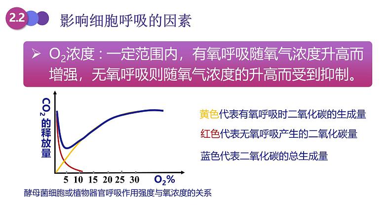 人教版 (2020) 必修1《分子与细胞》5.3细胞呼吸的原理和应用第3课时课件第8页