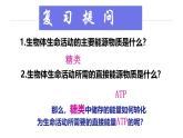人教版 (2020) 必修1《分子与细胞》5.3细胞呼吸的原理和应用第2课时课件