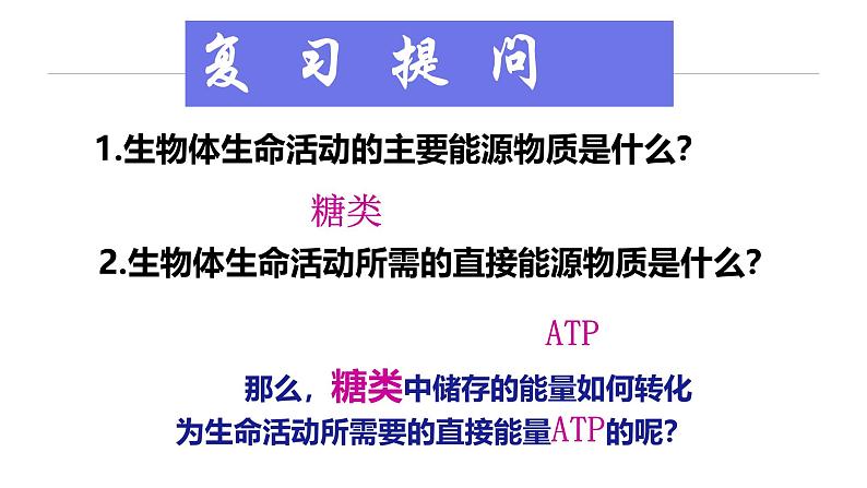 人教版 (2020) 必修1《分子与细胞》5.3细胞呼吸的原理和应用第2课时课件第3页