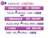 人教版 (2020) 必修1《分子与细胞》5.3细胞呼吸的原理和应用第1课时课件