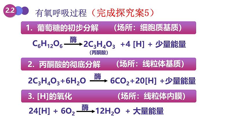 人教版 (2020) 必修1《分子与细胞》5.3细胞呼吸的原理和应用第1课时课件第5页