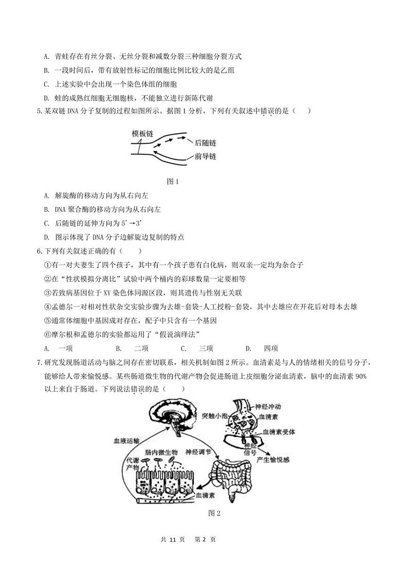 2024～2025学年广东省六校高三(上)12月联考(月考)生物试卷(含答案)第2页