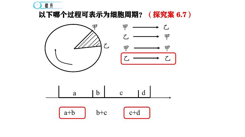 人教版 (2020) 必修1《分子与细胞》6.1细胞的增殖第1课时课件第8页