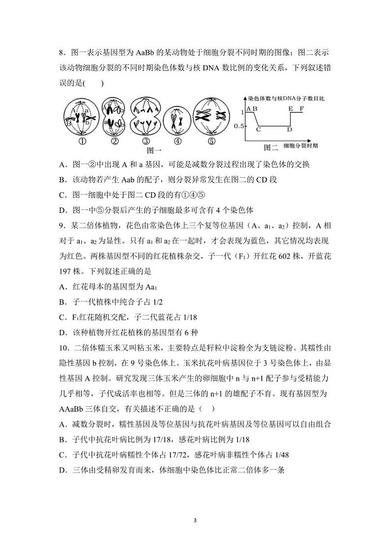 2024～2025学年黑龙江省哈尔滨市实验中学高三(上)第第四次月考生物试卷(含答案)第3页