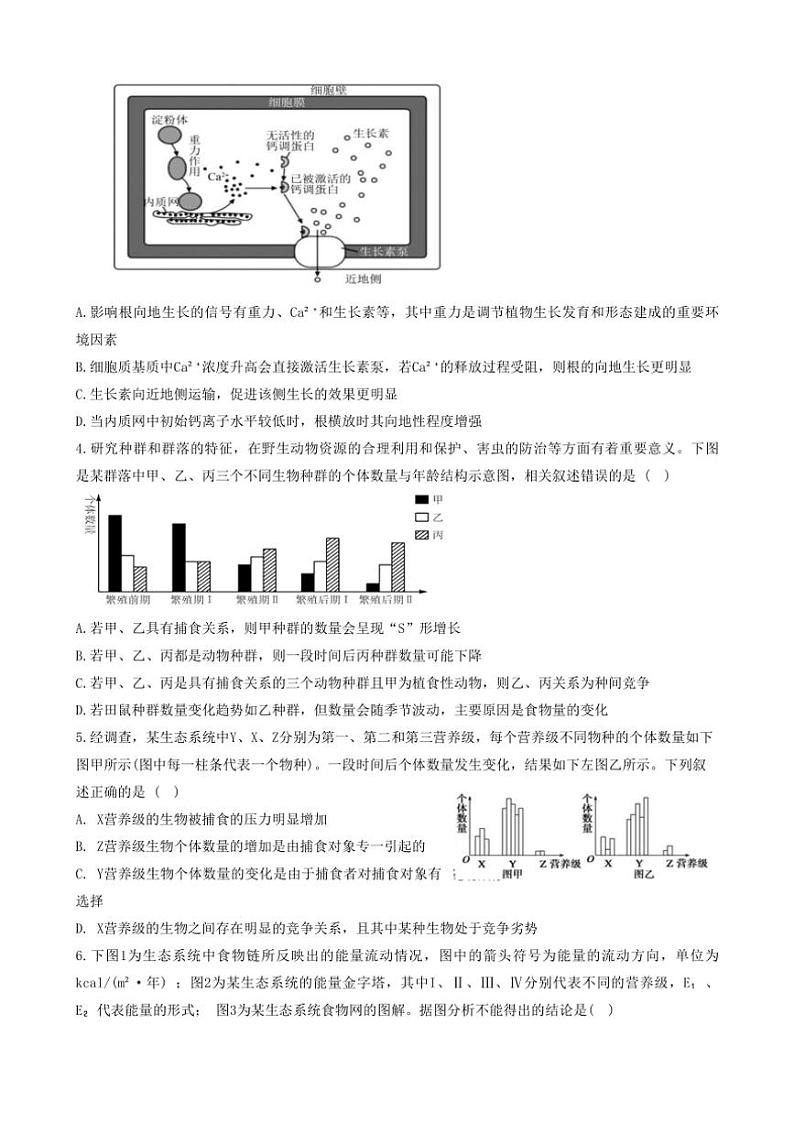 2024～2025学年山西省太原市实验中学校高二(上)12月月考生物试卷(含解析)第2页