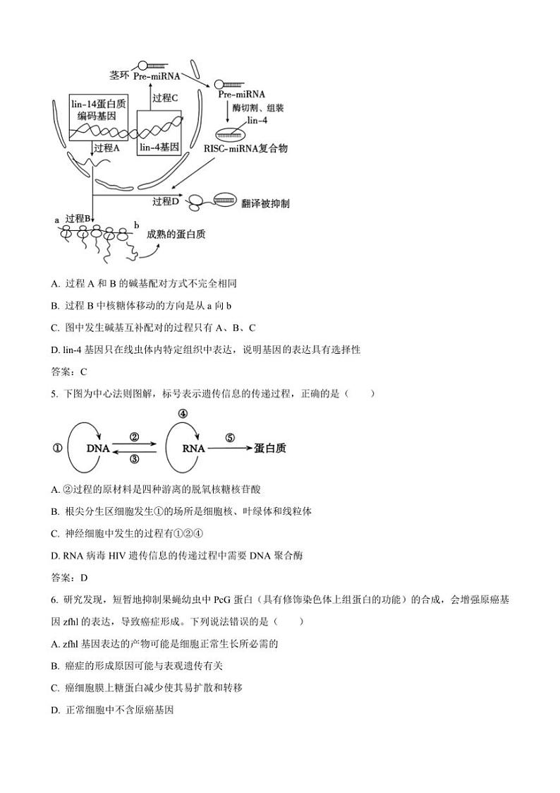 2024～2025学年重庆市清华中学校高二(上)12月检测(期中)生物试卷(含答案)第3页