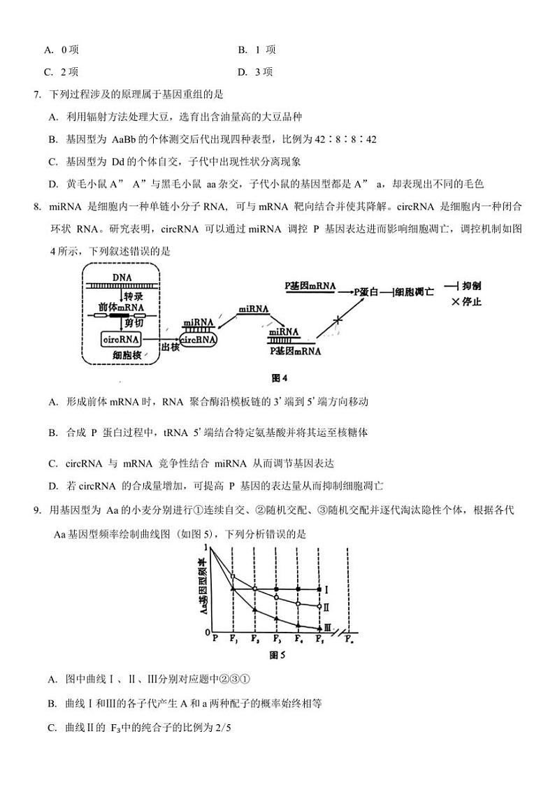 2025届西南名校联盟高三“333”高考备考诊断性联考(月考)(一)生物试卷(含答案)第3页