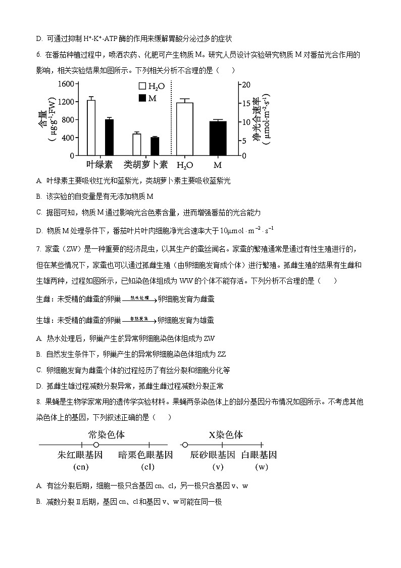 湖北省部分学校2024-2025学年高三上学期12月联考生物试题 Word版无答案第3页