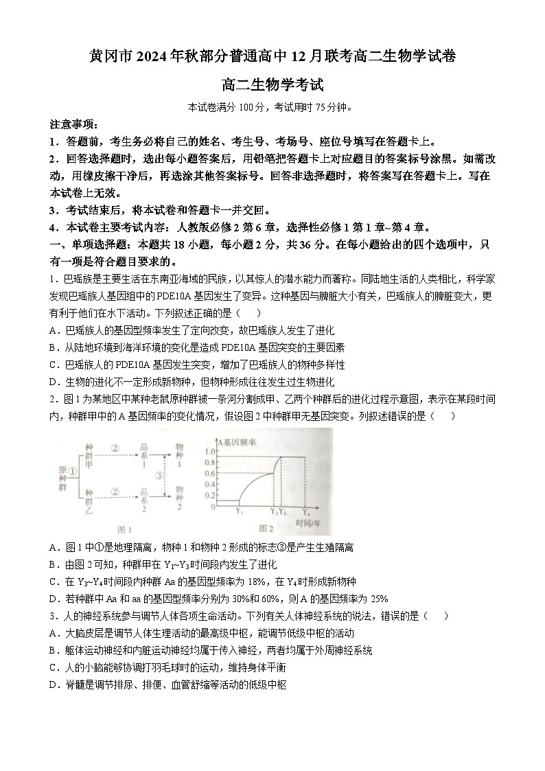 湖北省黄冈市部分普通高中2024-2025学年高二上学期12月联考生物试卷（Word版附答案）第1页