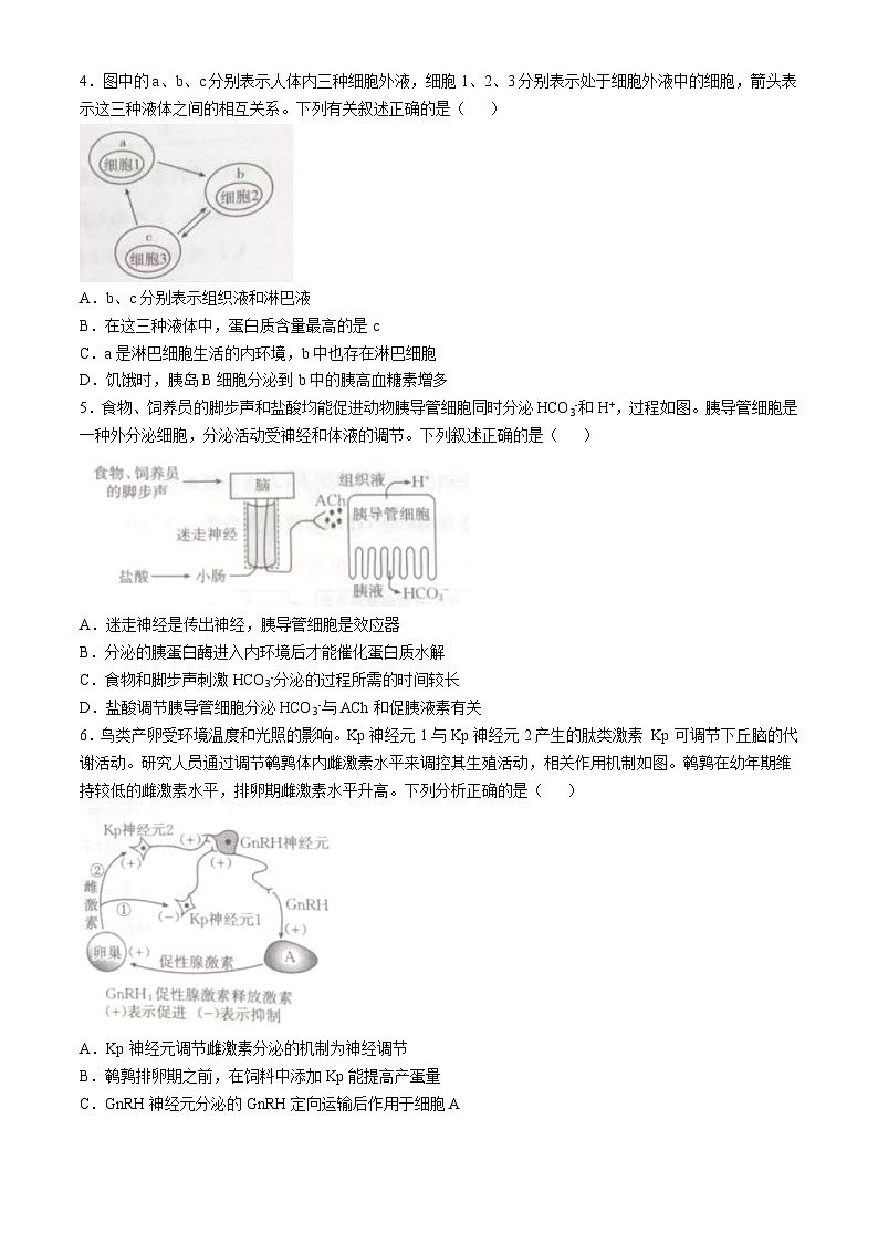 湖北省黄冈市部分普通高中2024-2025学年高二上学期12月联考生物试卷（Word版附答案）第2页