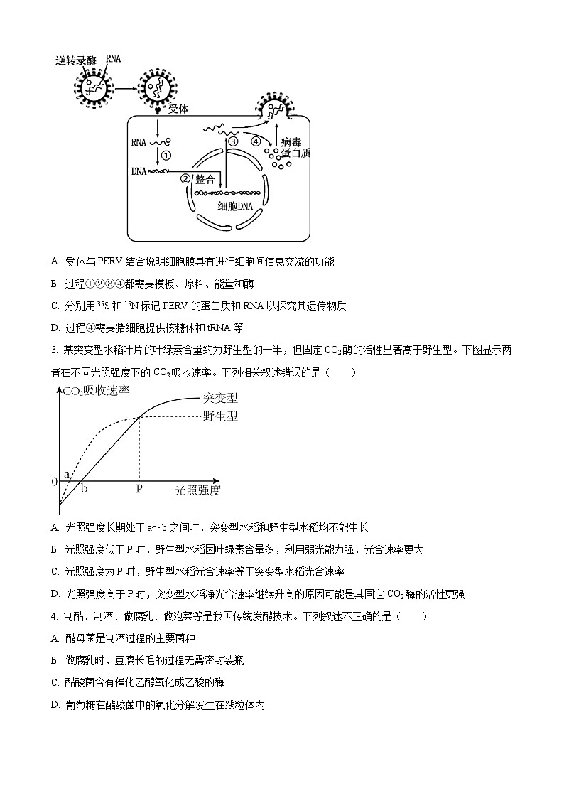 湖北省十一校2024-2025学年高三上学期第一次联考生物试题 Word版无答案第2页