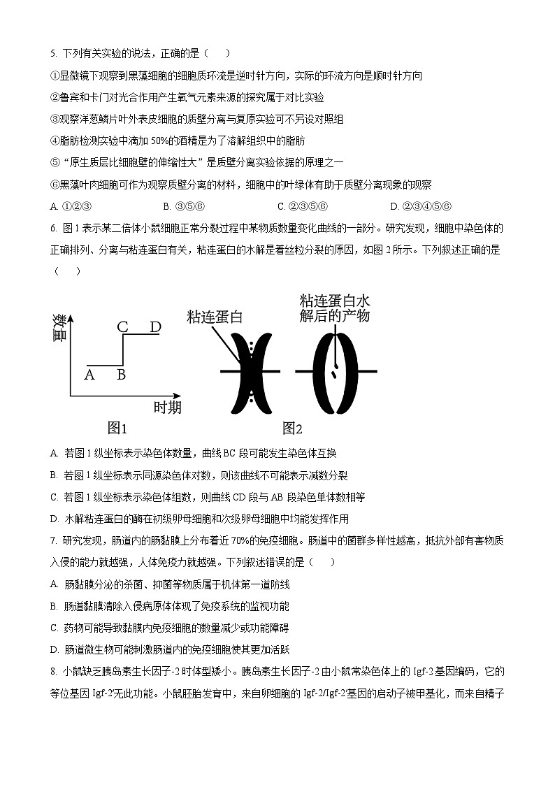 湖北省十一校2024-2025学年高三上学期第一次联考生物试题 Word版无答案第3页