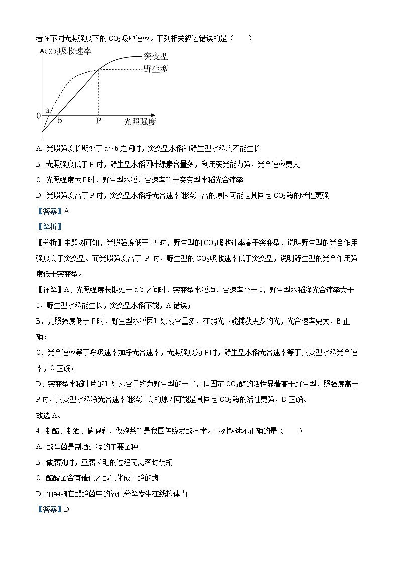 湖北省十一校2024-2025学年高三上学期第一次联考生物试题 Word版含解析第3页