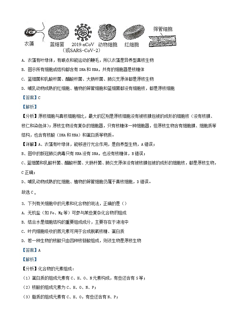 湖南省长沙市2023_2024学年高一生物上学期期中联考试题含解析第2页
