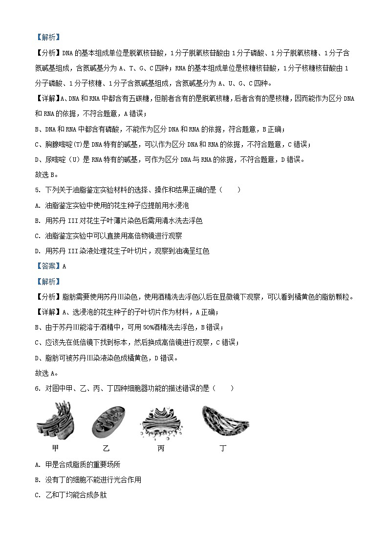 浙江省温州市2023_2024学年高一生物上学期期中联考试题含解析第3页