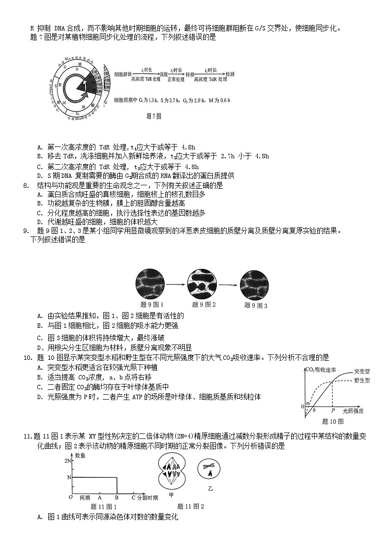 重庆市2023_2024学年高三生物上学期11月调研测试含解析第2页
