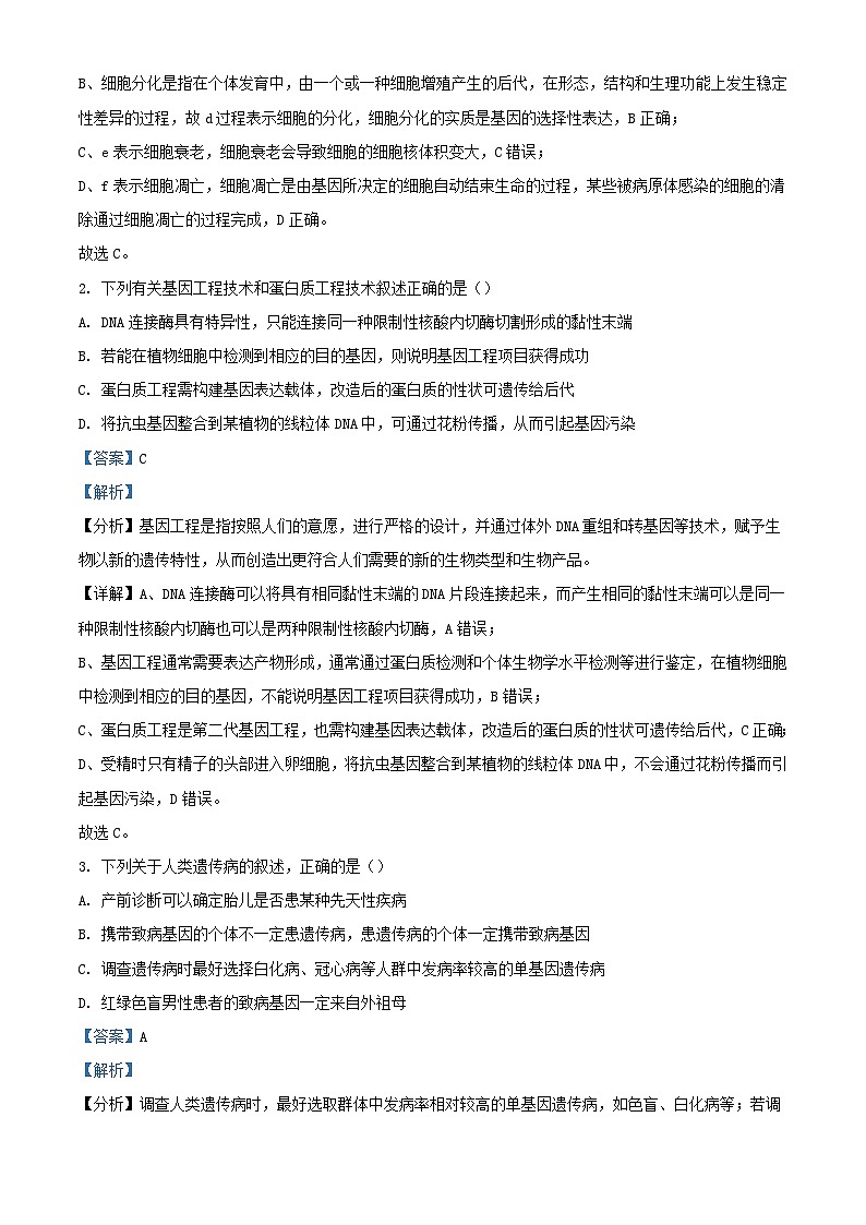 重庆市2023_2024学年高三生物上学期开学考试试题含解析第2页